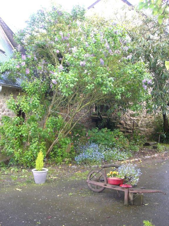 Gites De La Ferme Auberge De Mesauboin Bille ภายนอก รูปภาพ